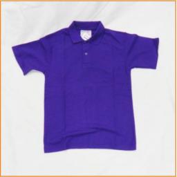 purple polo shirt.jpg