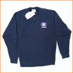 school jumper.png