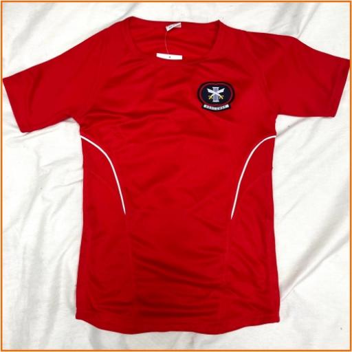 Compulsory: Ashcombe Girls PE Top