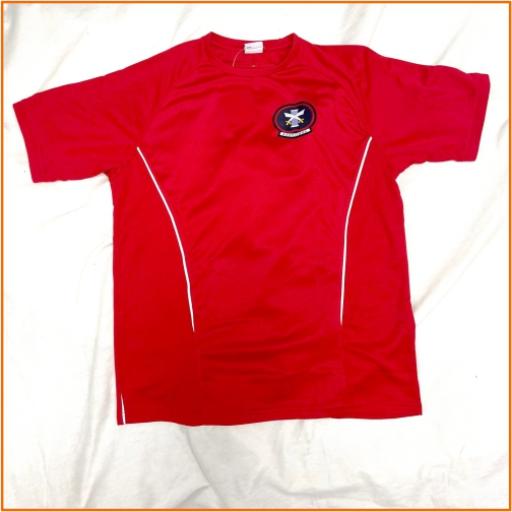 Compulsory: Ashcombe Boys PE Top