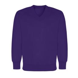 sweatshirt-v-neck.jpg